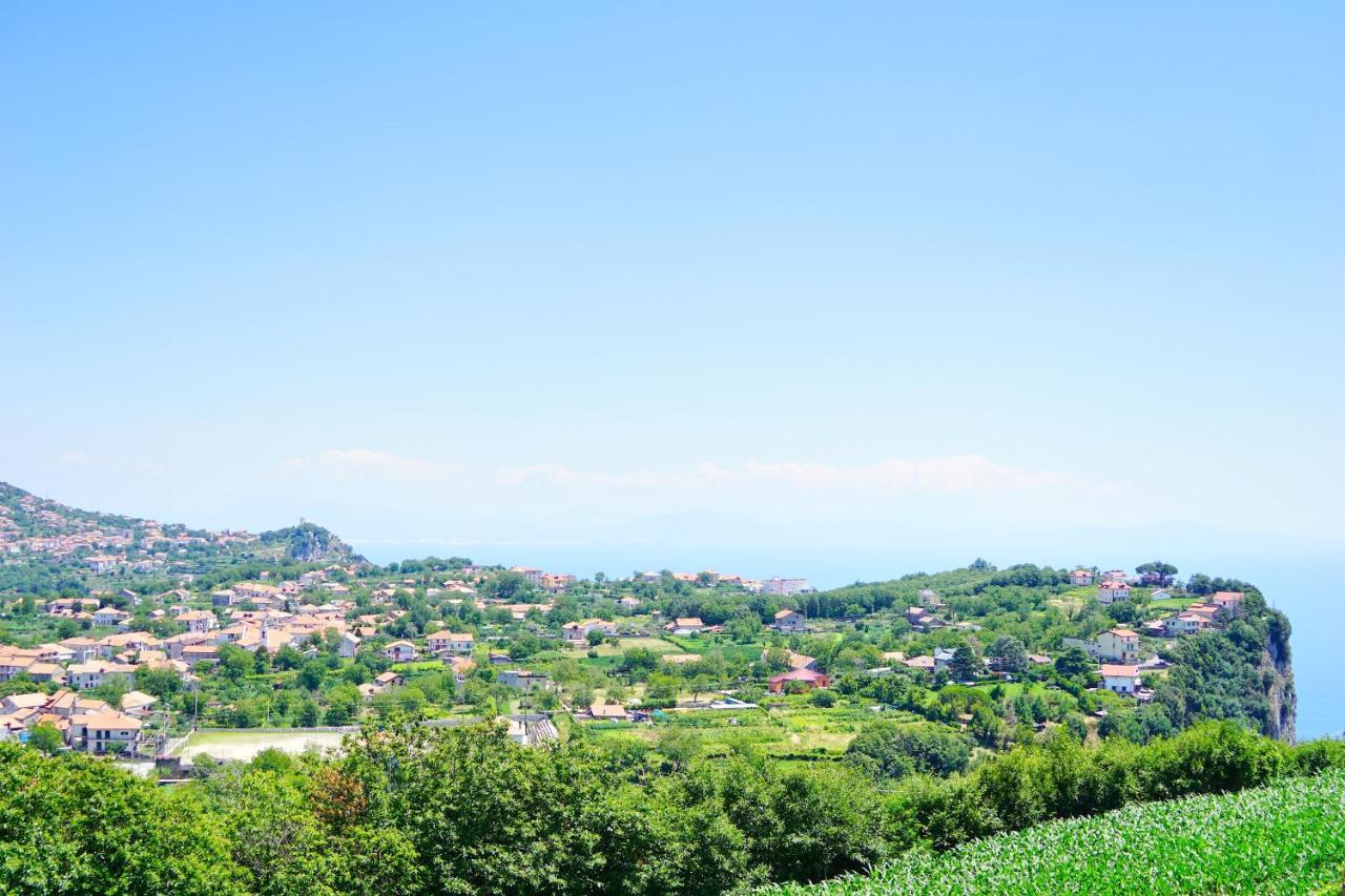 Bed and breakfast Casa Pendola